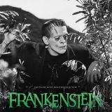 Frankenstein 1931 Ultimate Guide