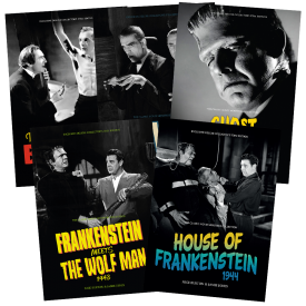 Universal Monsters 5-Guide Box Set 3