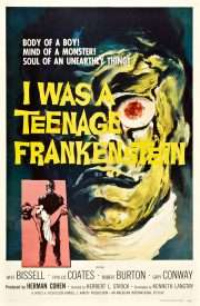 Frankenstein Obscura Postcard Set
