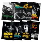 Universal Frankenstein Franchise 8-Guide Bundle