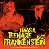 I Was a Teenage Frankenstein 1971 Ultimate Guide