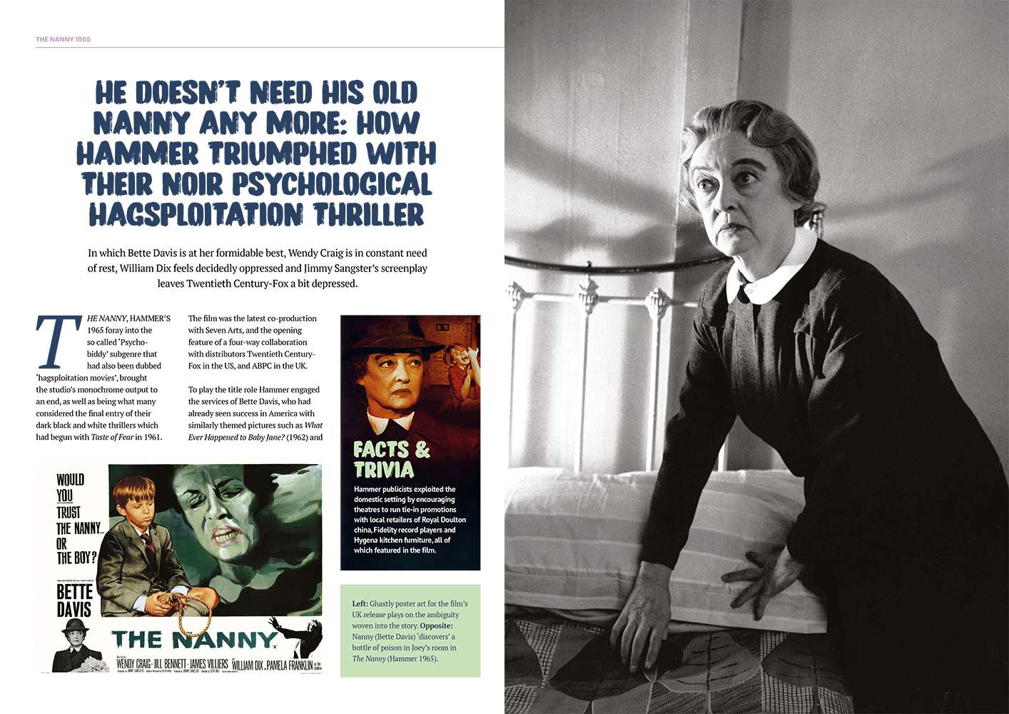 The Nanny 1965 Ultimate Guide The Nanny 1965 Ultimate Guide