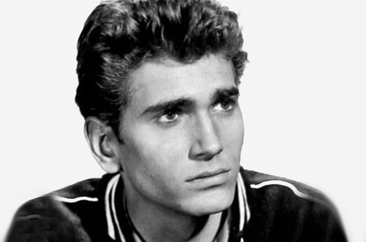 Michael Landon