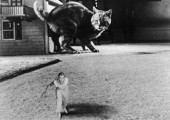 The Incredible Shrinking Man (Universal International 1957)